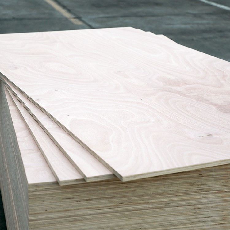 Gabon Okoume Plywood