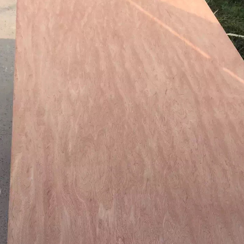 Bintangor Plywood