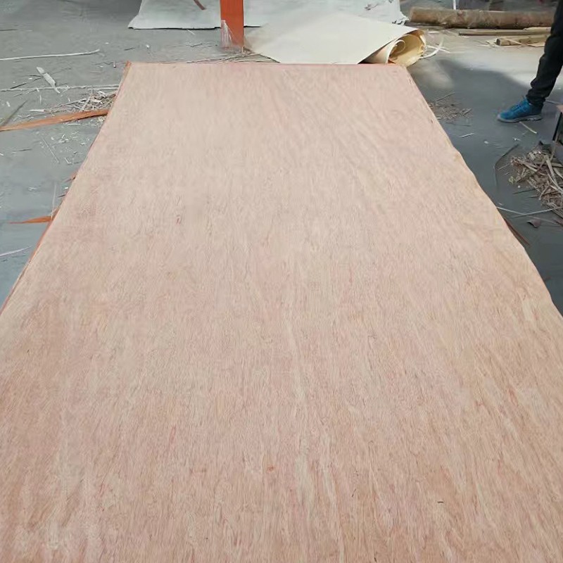 Bintangor Plywood