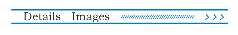 Bintangor plywood(图2)