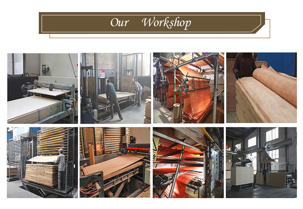 Okoume Veneer(图4)