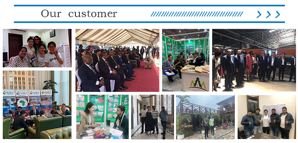 Bintangor plywood(图9)