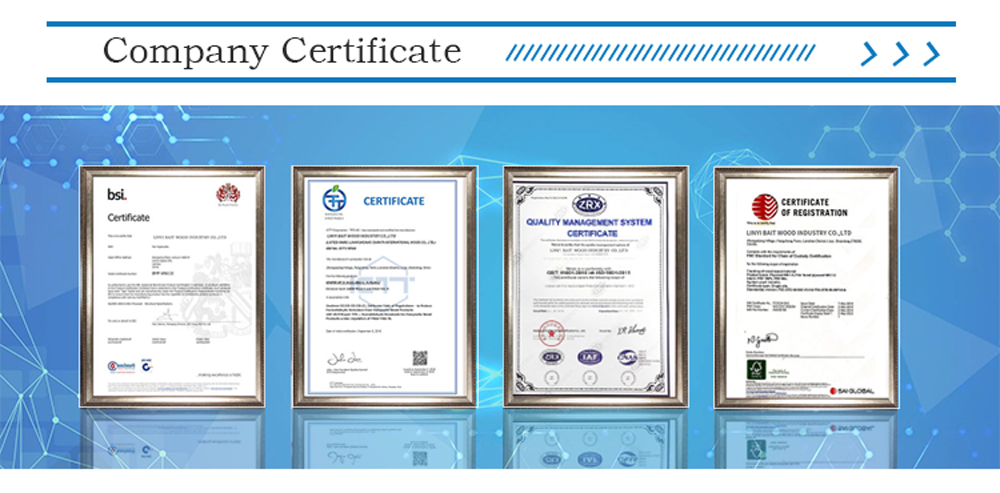 Bintangor plywood(图7)