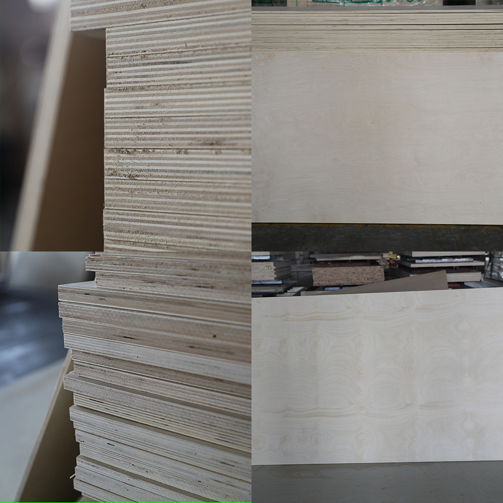 Birch Plywood(图3)