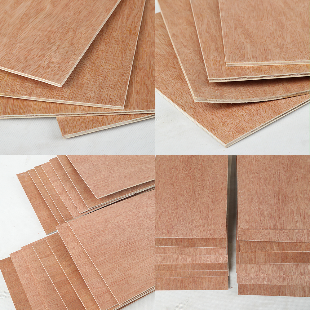 Bintangor Plywood(图3)